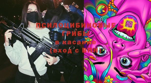 гидропоника Армянск