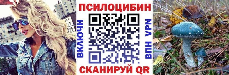 Галлюциногенные грибы Psilocybe  Краснообск 