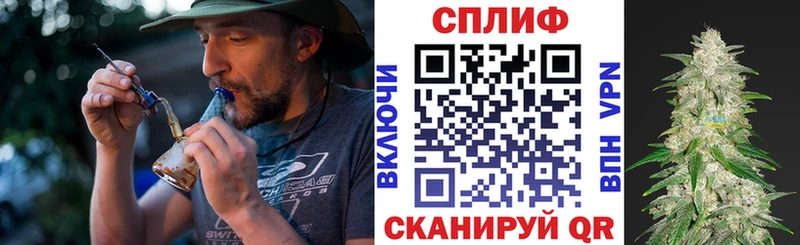 Марихуана сатива Краснообск